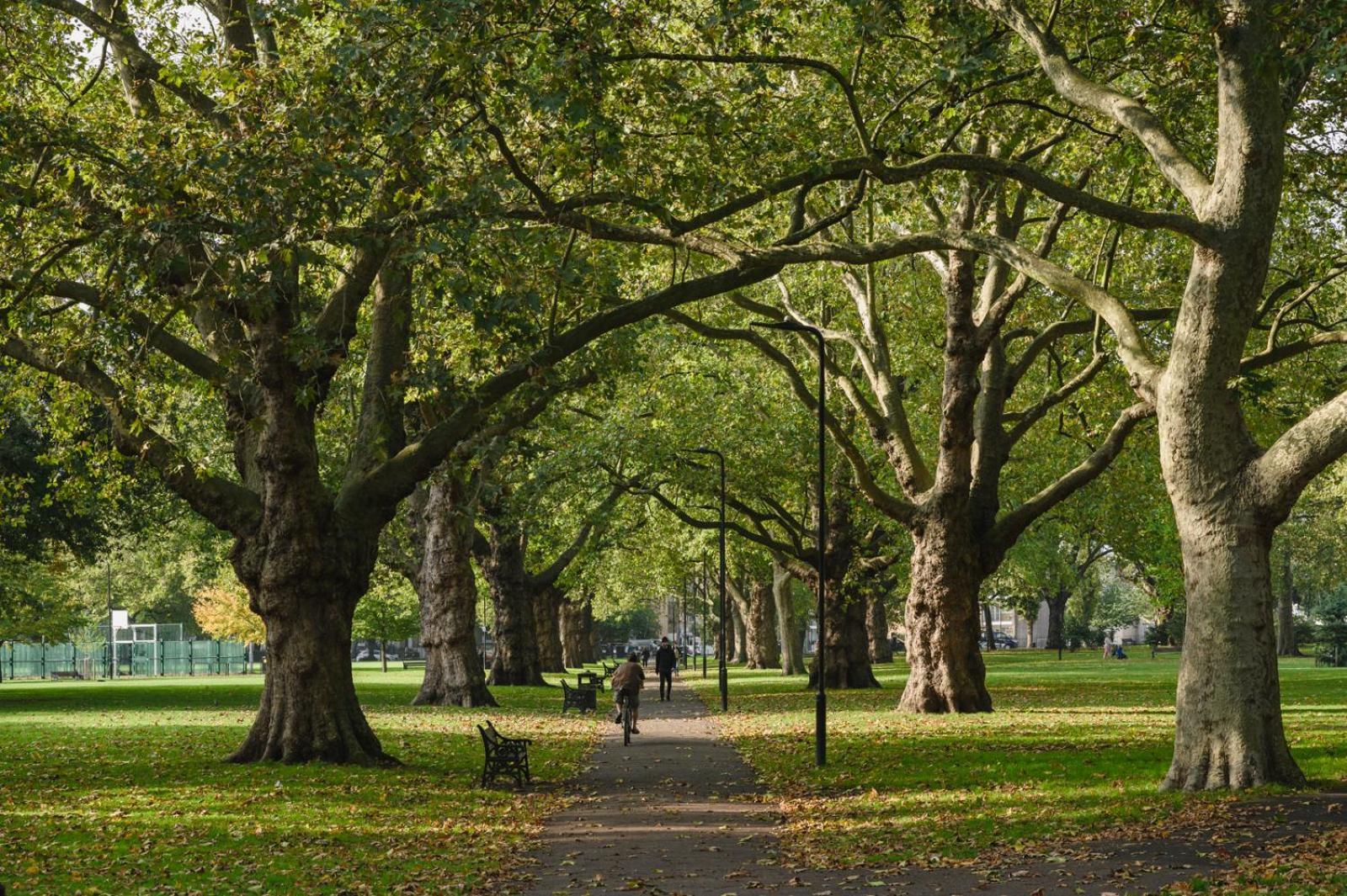 Lovely In Victoria Park Village Londen